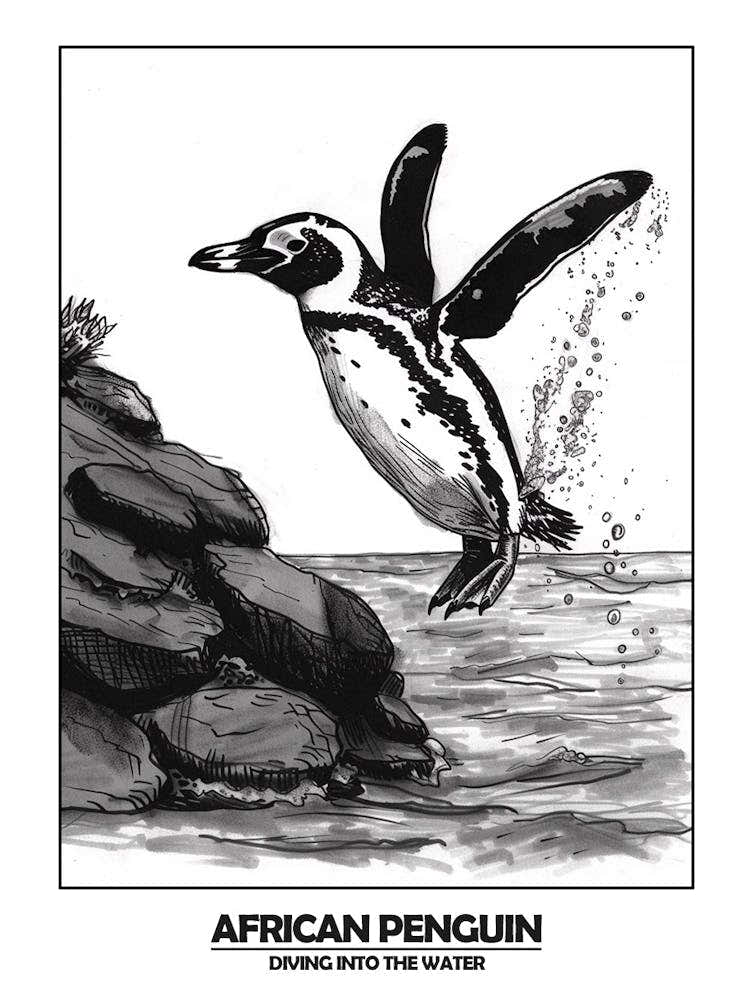 Penguin Diving Into The Water Poster 1