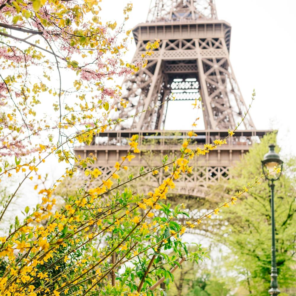 Eiffel Tower Vii Square