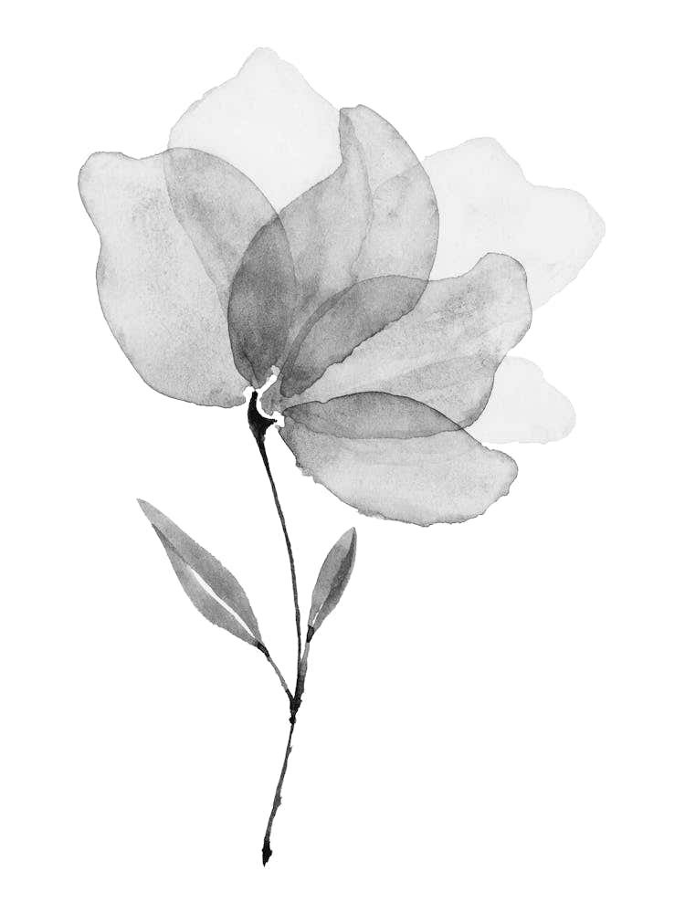 Black And White Watercolor Flower