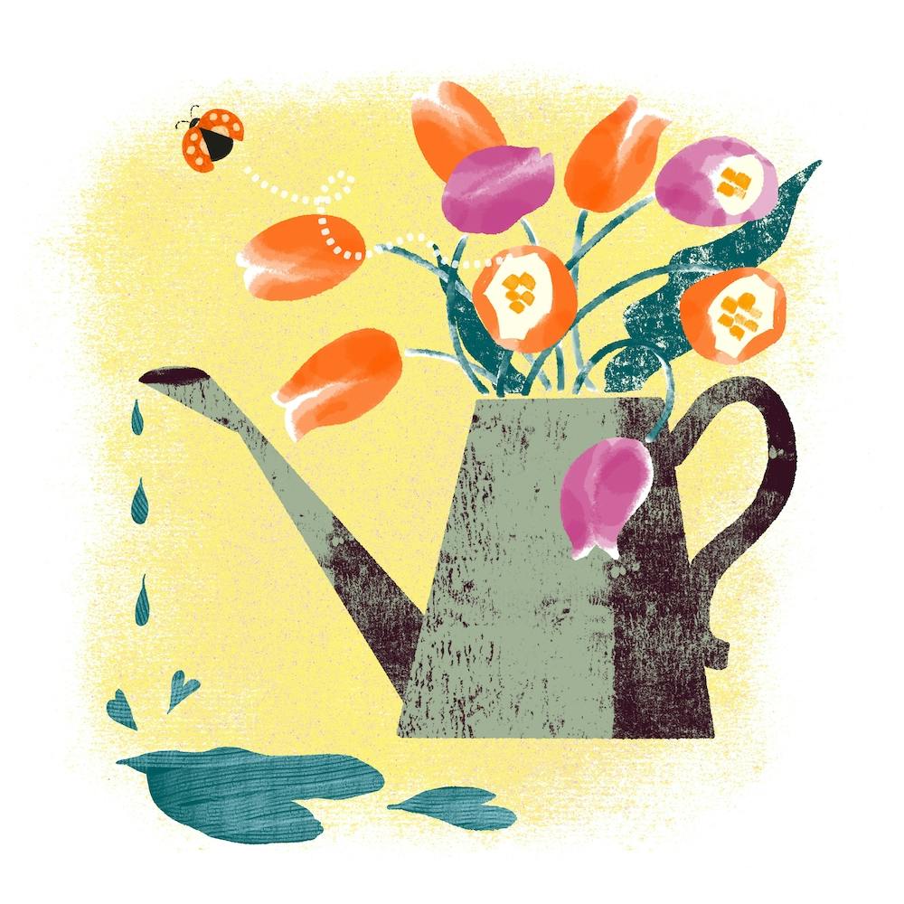 Orange And Purple Tulip Flowers In A Watering Can Square