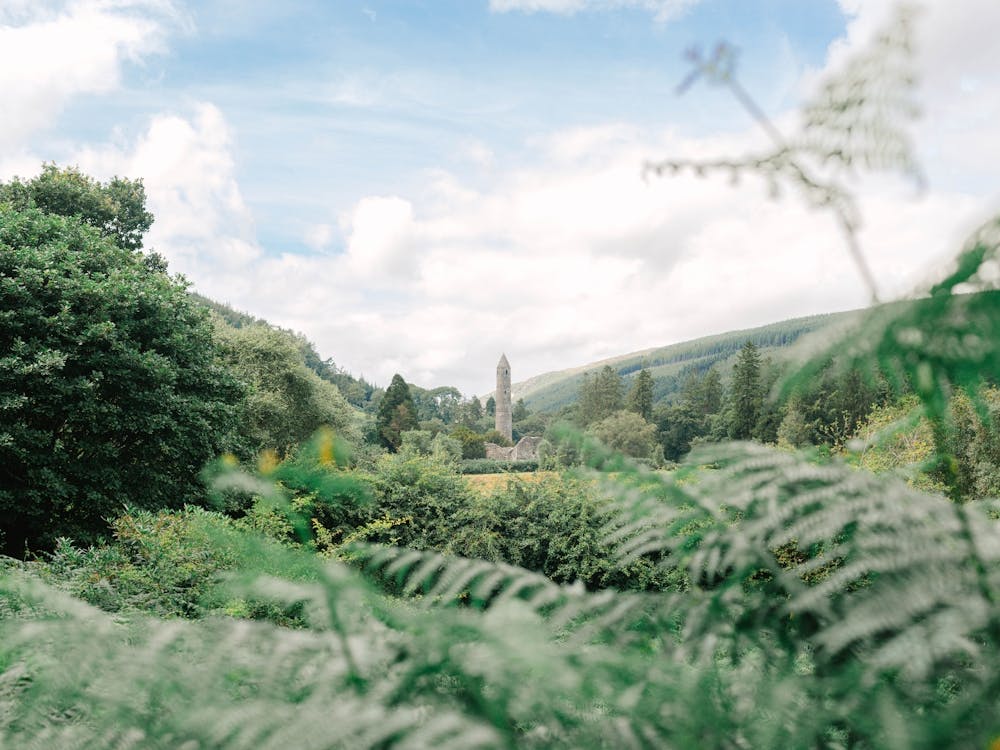 Killarney National Park, Ireland