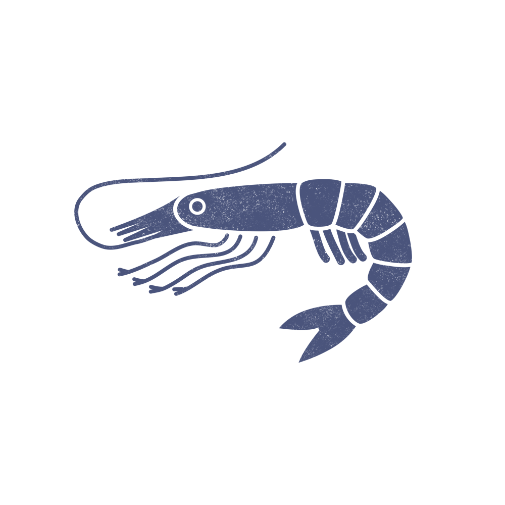 Blue Shrimp