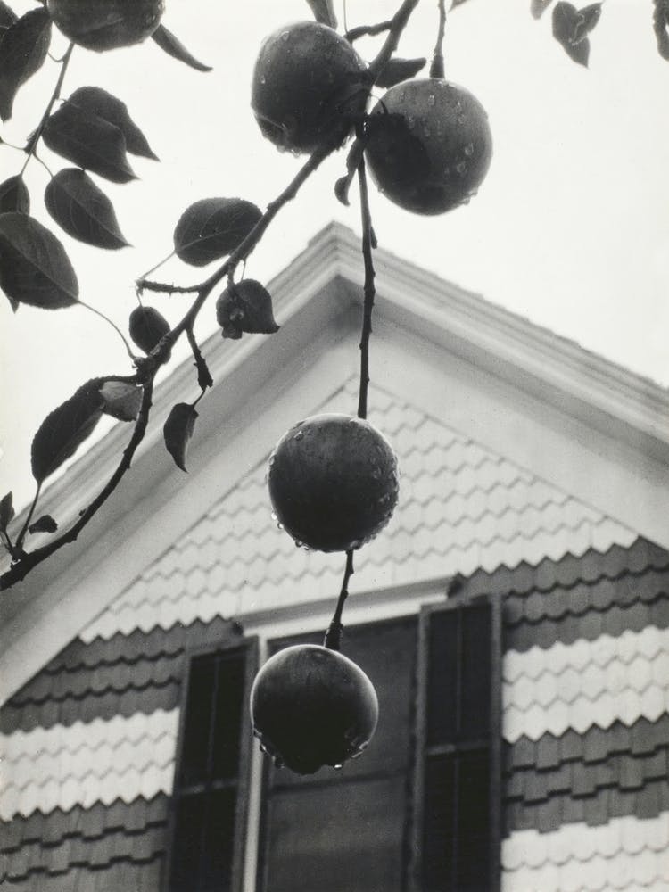 Gable And Apples (1922), Alfred Stieglitz