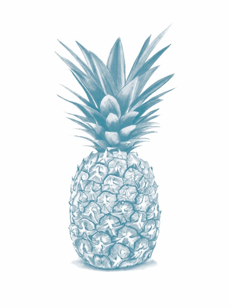 Blue Pineapple Handrawn