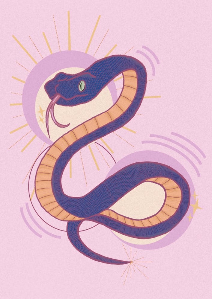 Pink Colourful Snake Illustration