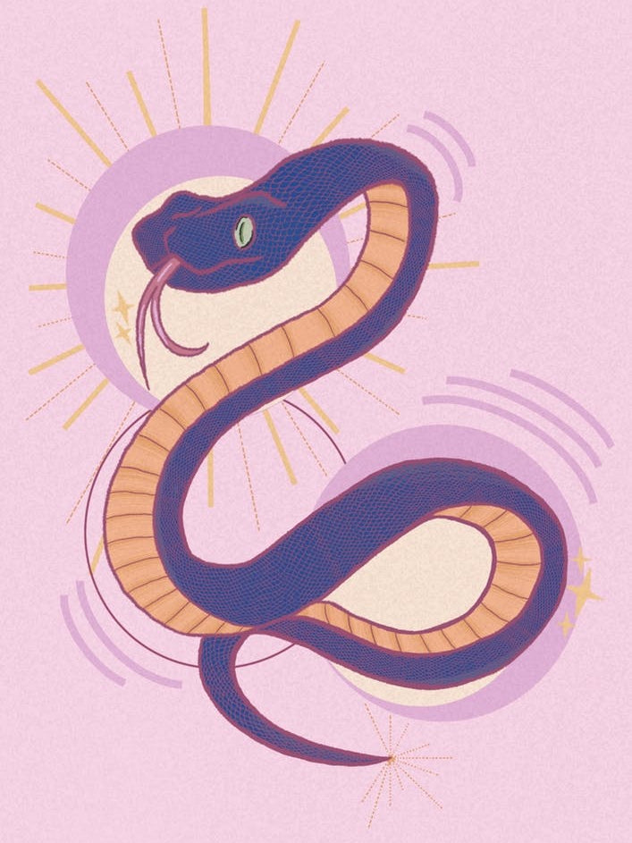 Pink Colourful Snake Illustration
