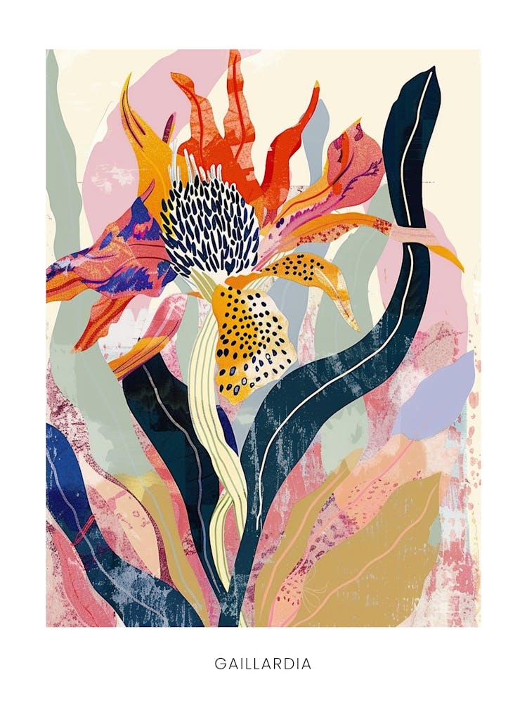 Colourful Flower Illustration Poster Gaillardia 2
