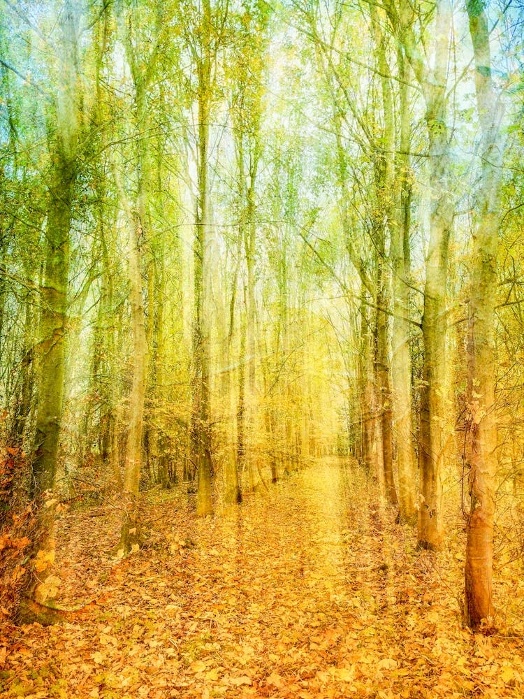 Gefallene Herbstblätter