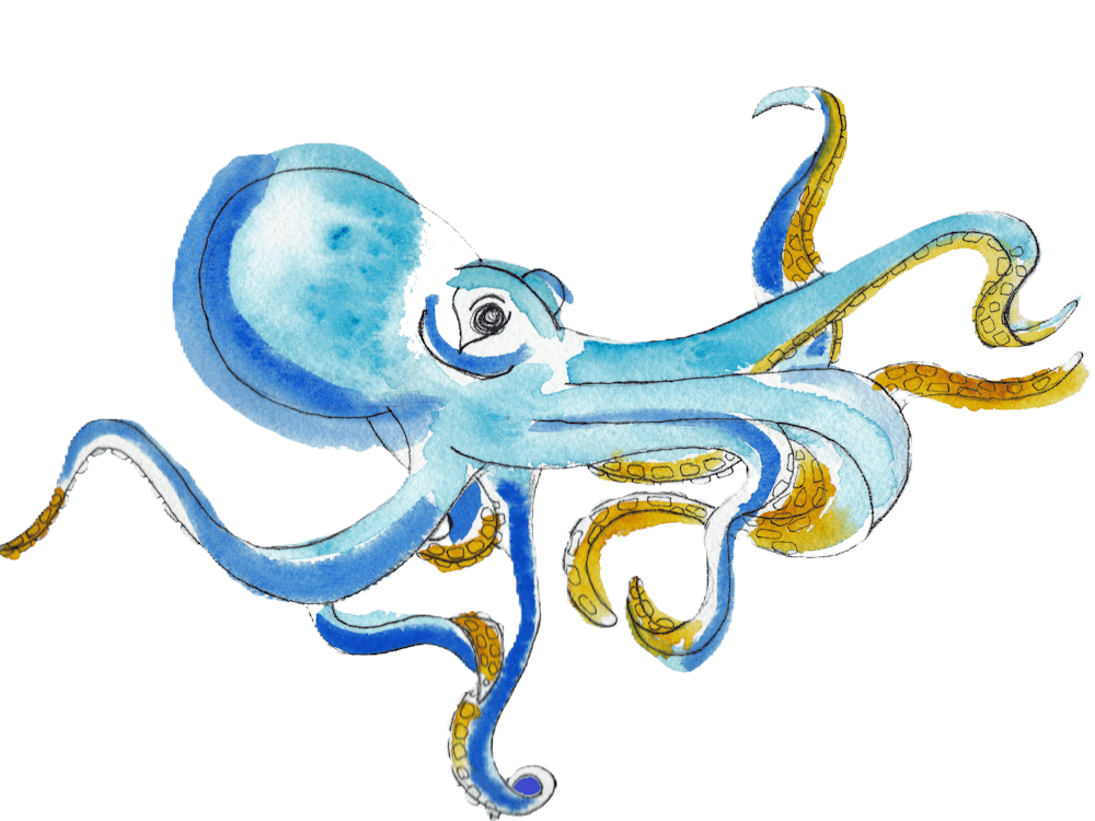 Watercolor Octopus 1
