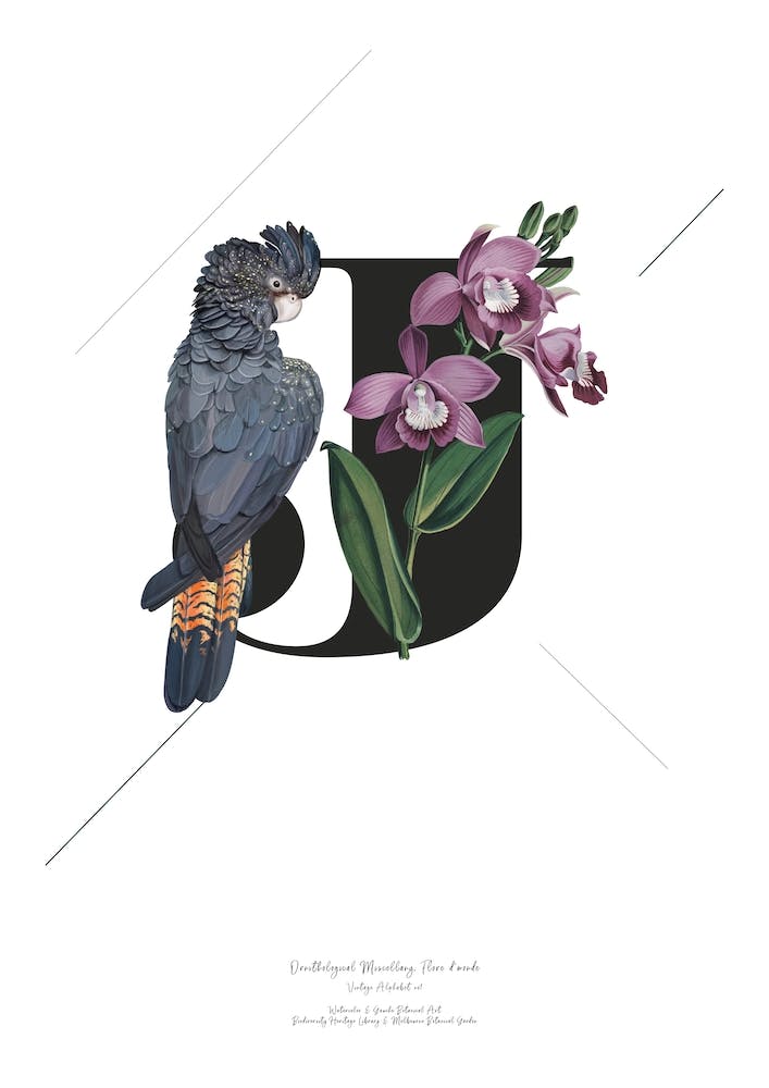 Botanical Alphabet J