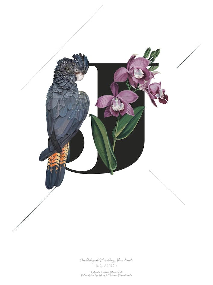 Botanical Alphabet J