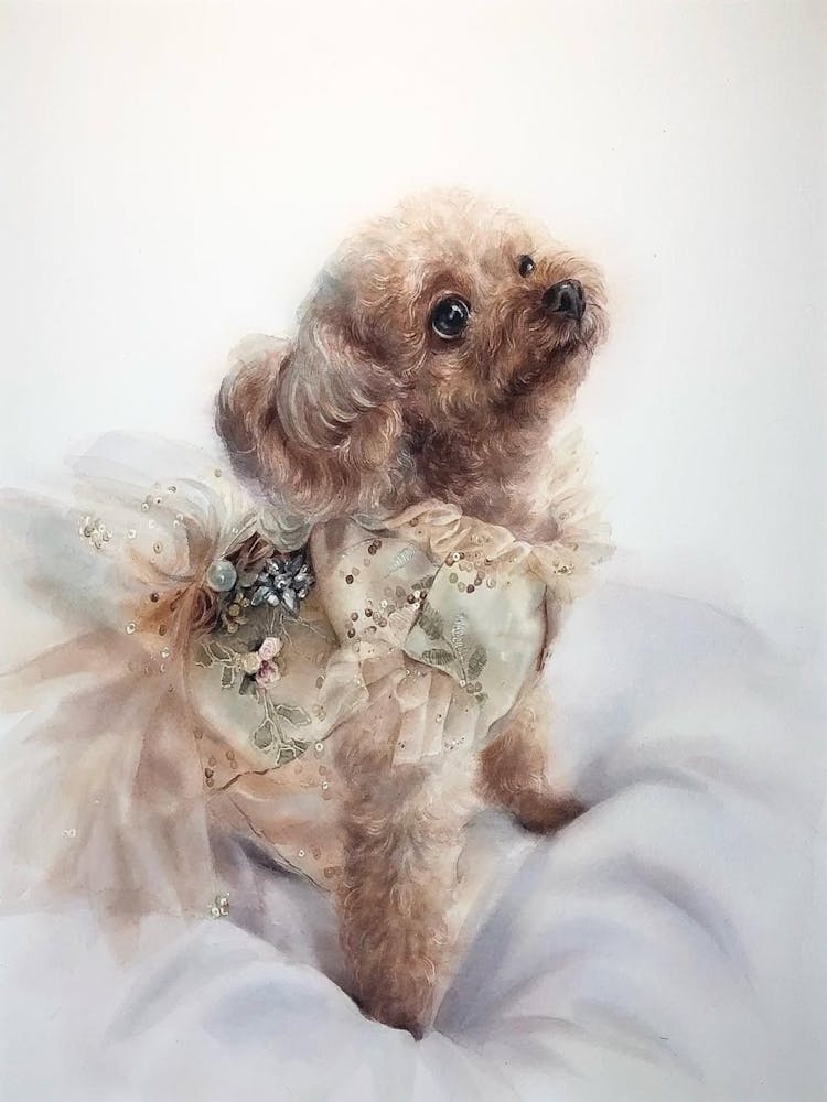 Poodle In A Dress