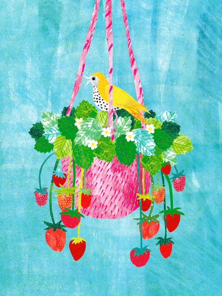 Strawberries And Bird