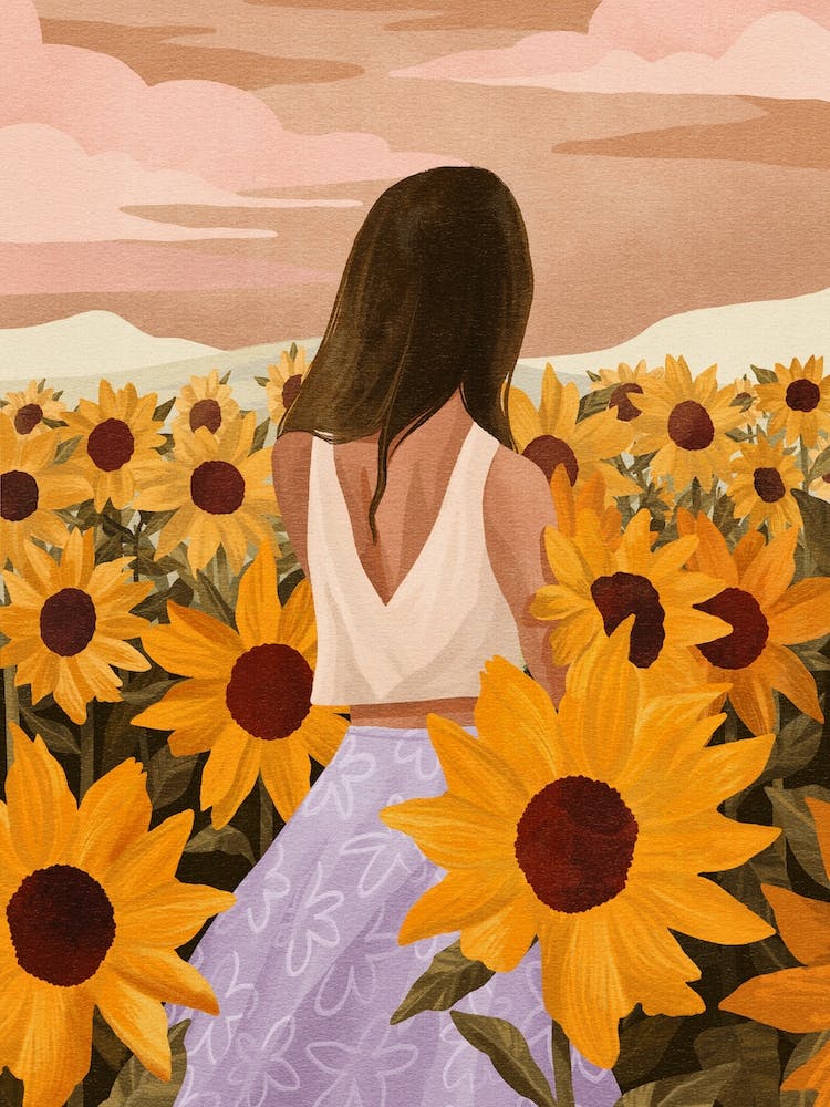 Sunflower Evenings