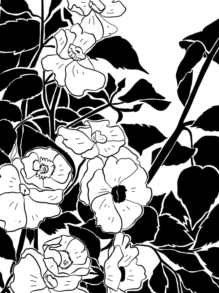 Dessin de Fleurs en Noir et Blanc