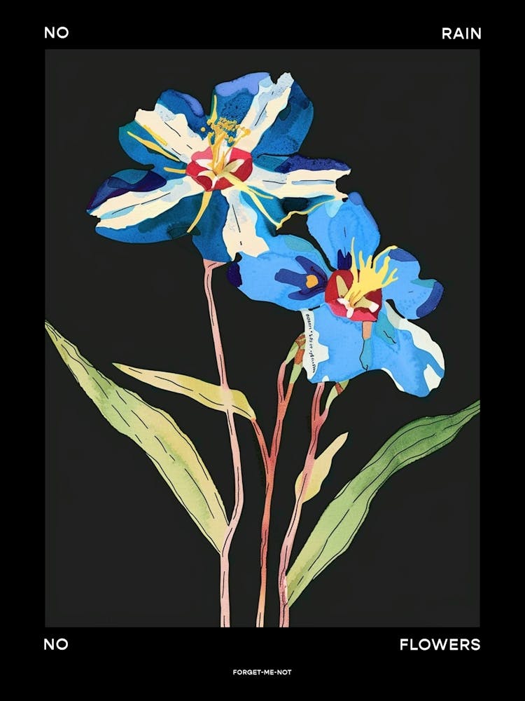 No Rain No Flowers Poster Forget Me Not 3