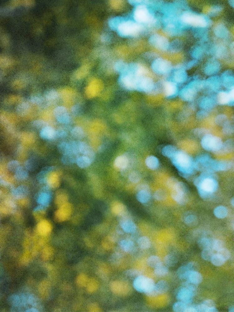 Light Leaks Gradient