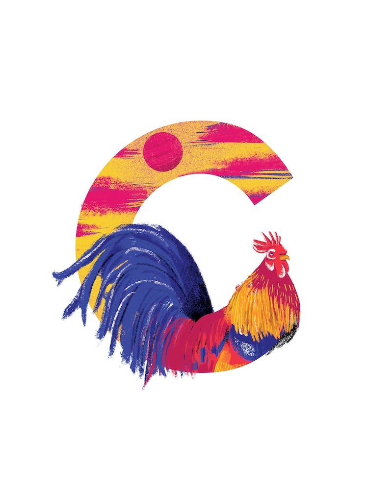 C Is For Cockrel 