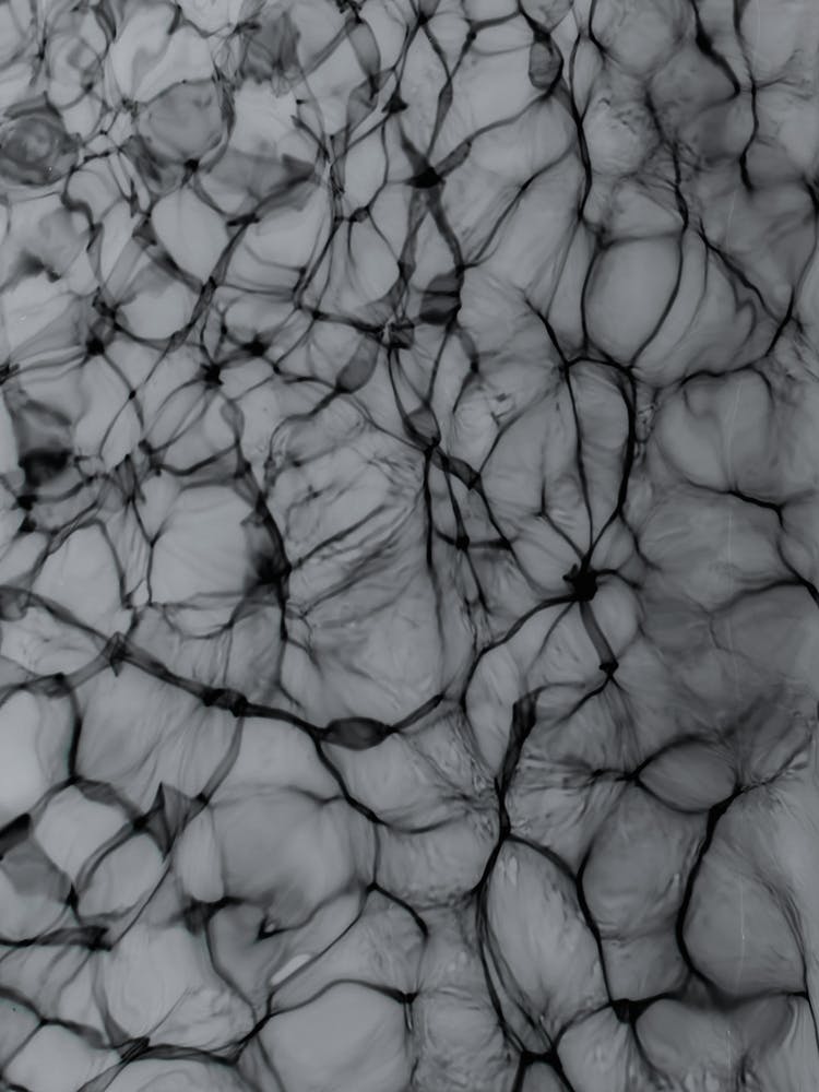 Abstract Life 2