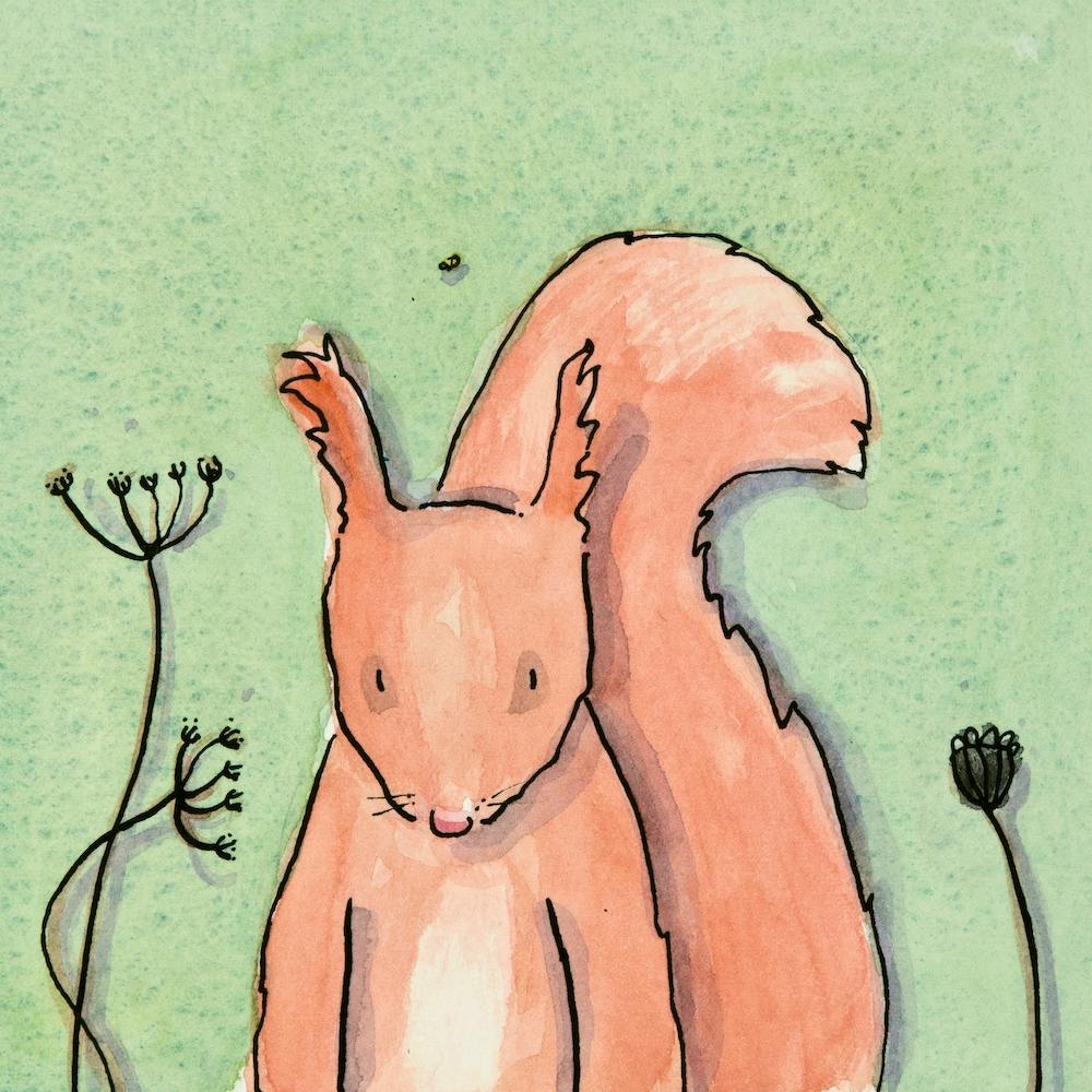 Sidney Squirell Square