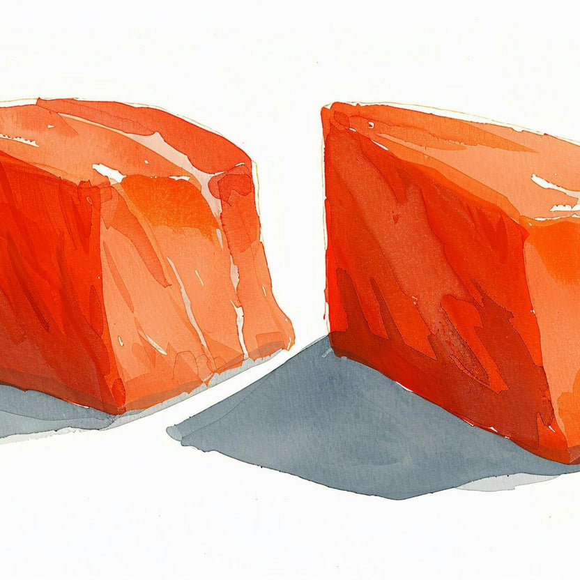 Two Pieces Of Salmon