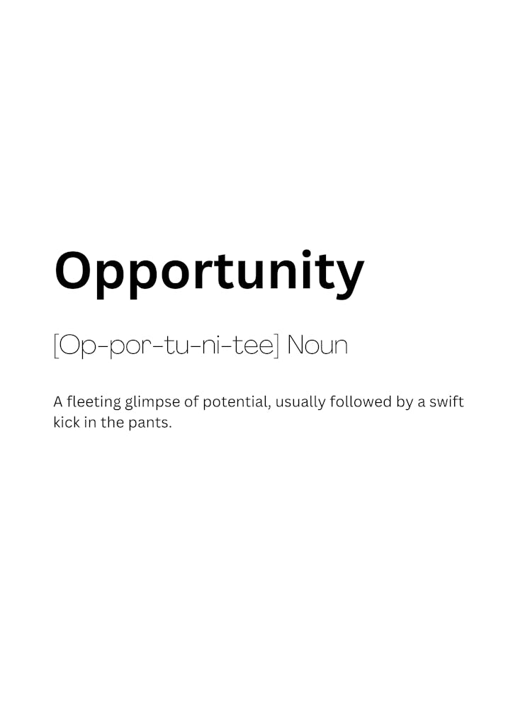 Opportunity Definition Meaning
