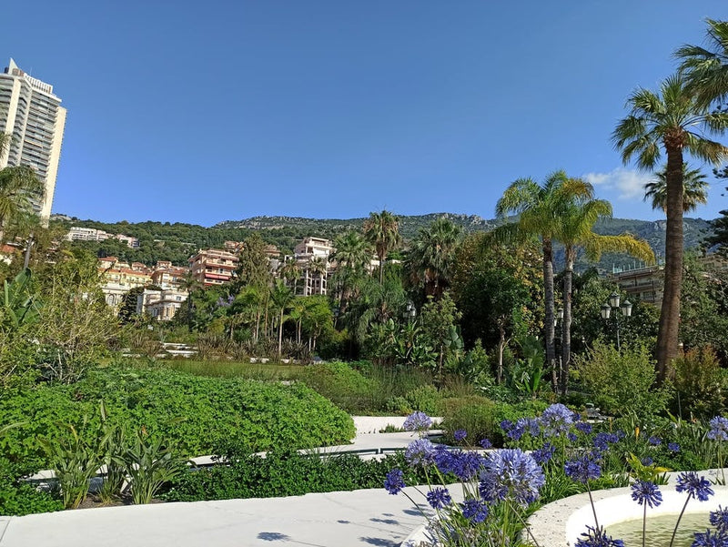 View Of Monaco