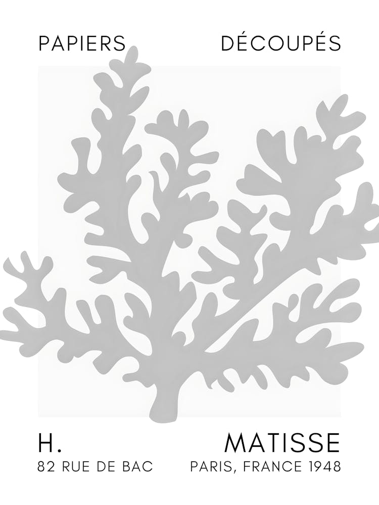 H Matisse 25