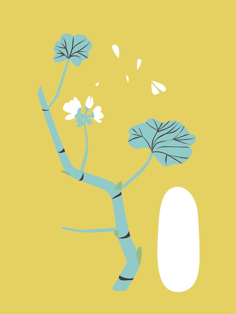 Geranium Yellow