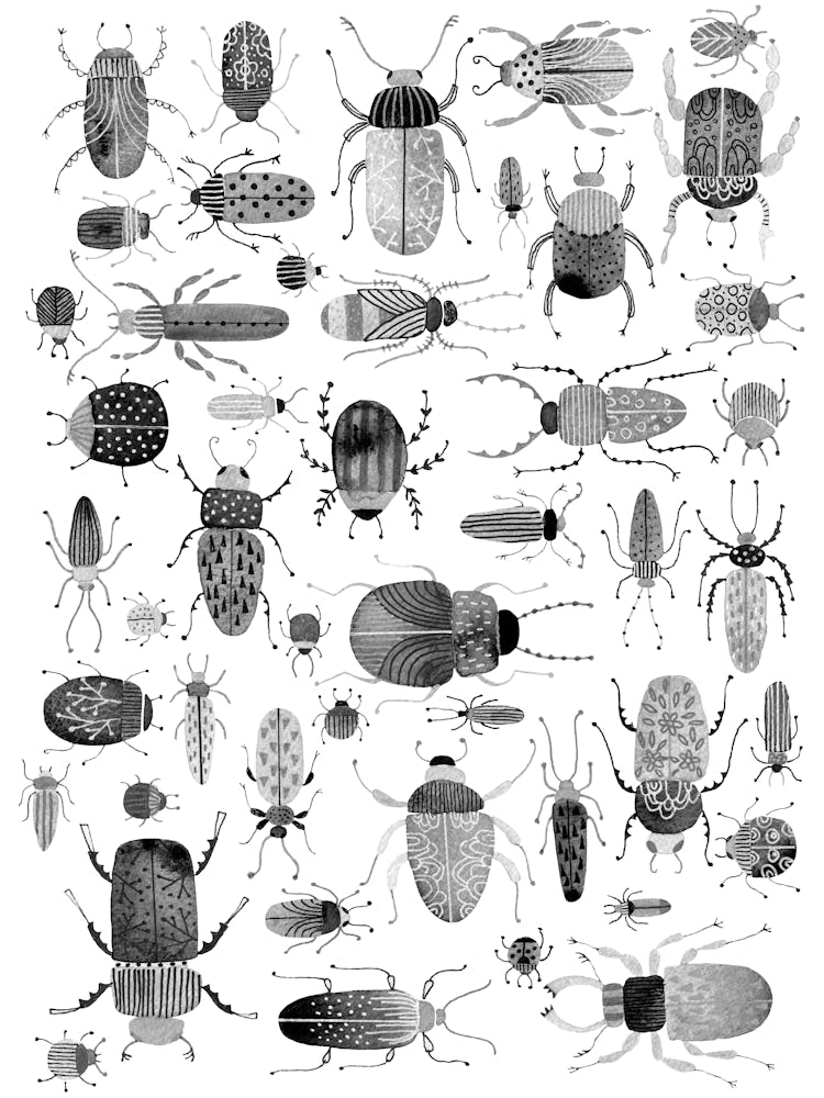 Beetles and Bugs Ink Painting