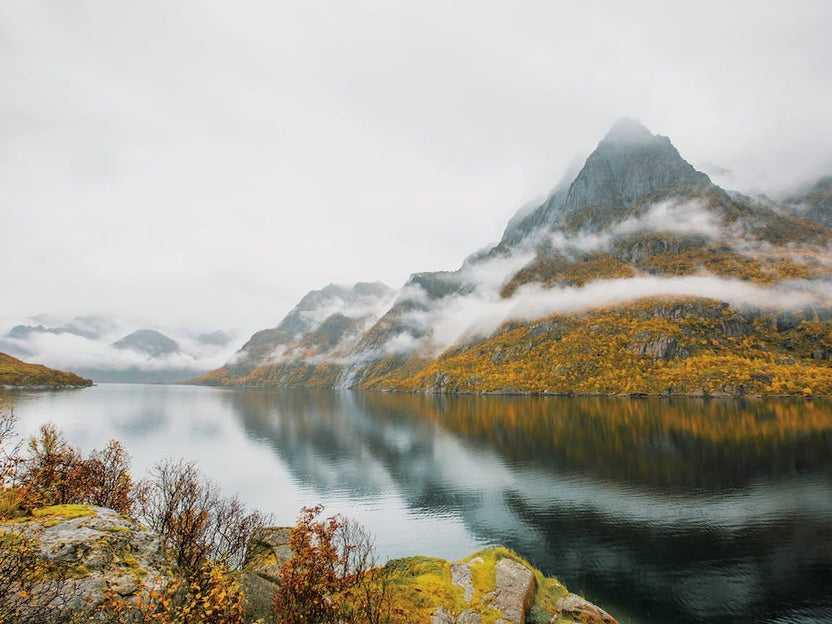 Norway Winter Scenery