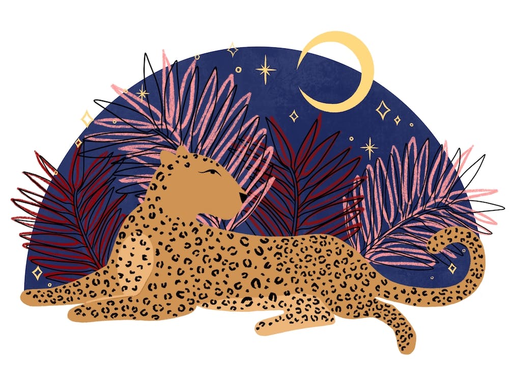 Leopard Leaf3