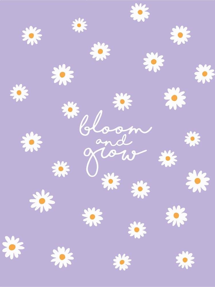 Blooming Daisies Bloom and Grow