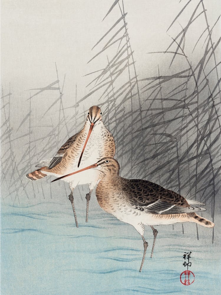 Two Bar Tailed Godwits, Ohara Koson