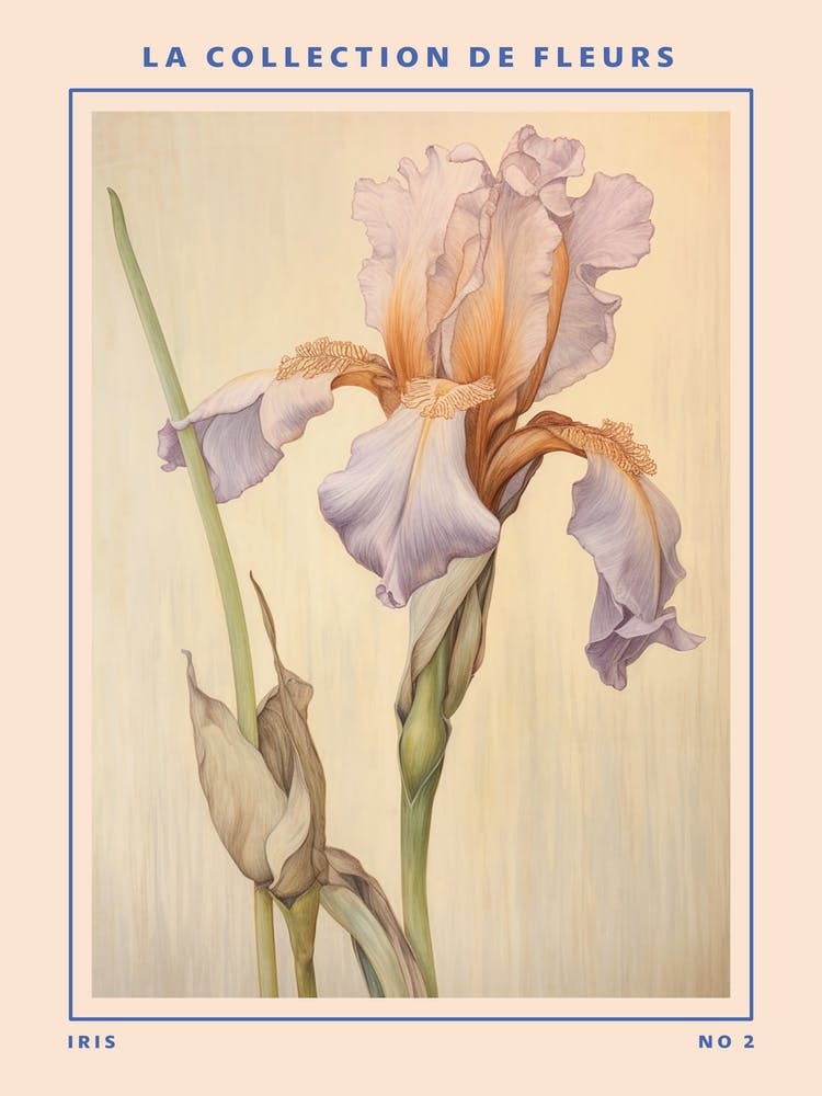 Iris 2 French Flower Botanical Poster