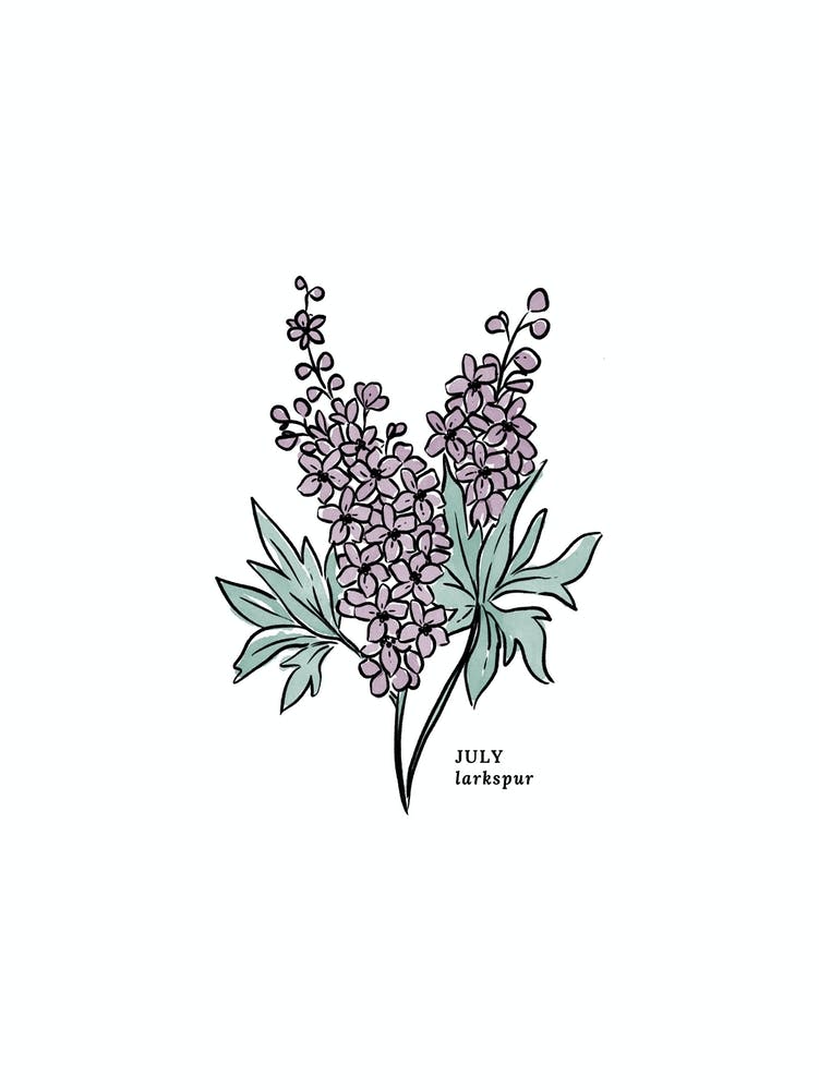 July Larkspur Birth Flower 1