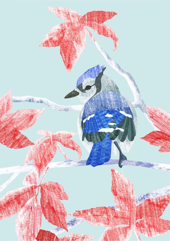 Winter Bird