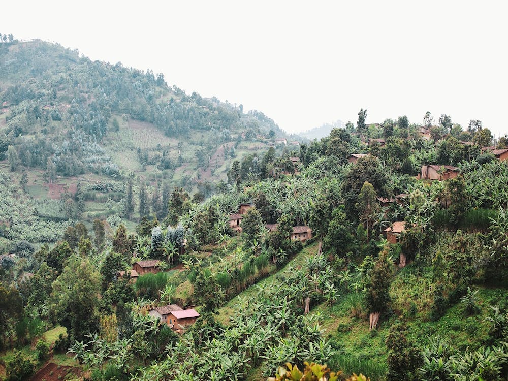 Land Of A Thousand Hills