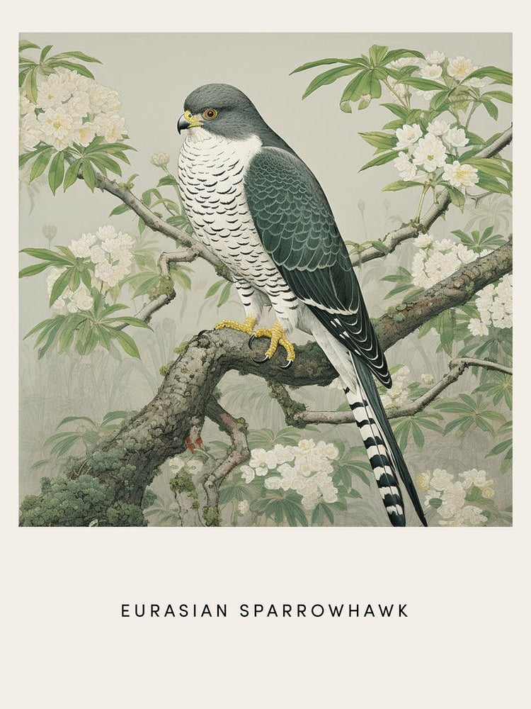 Ohara Koson Inspired Bird Painting Eurasian Sparrowhawk 1 Poster