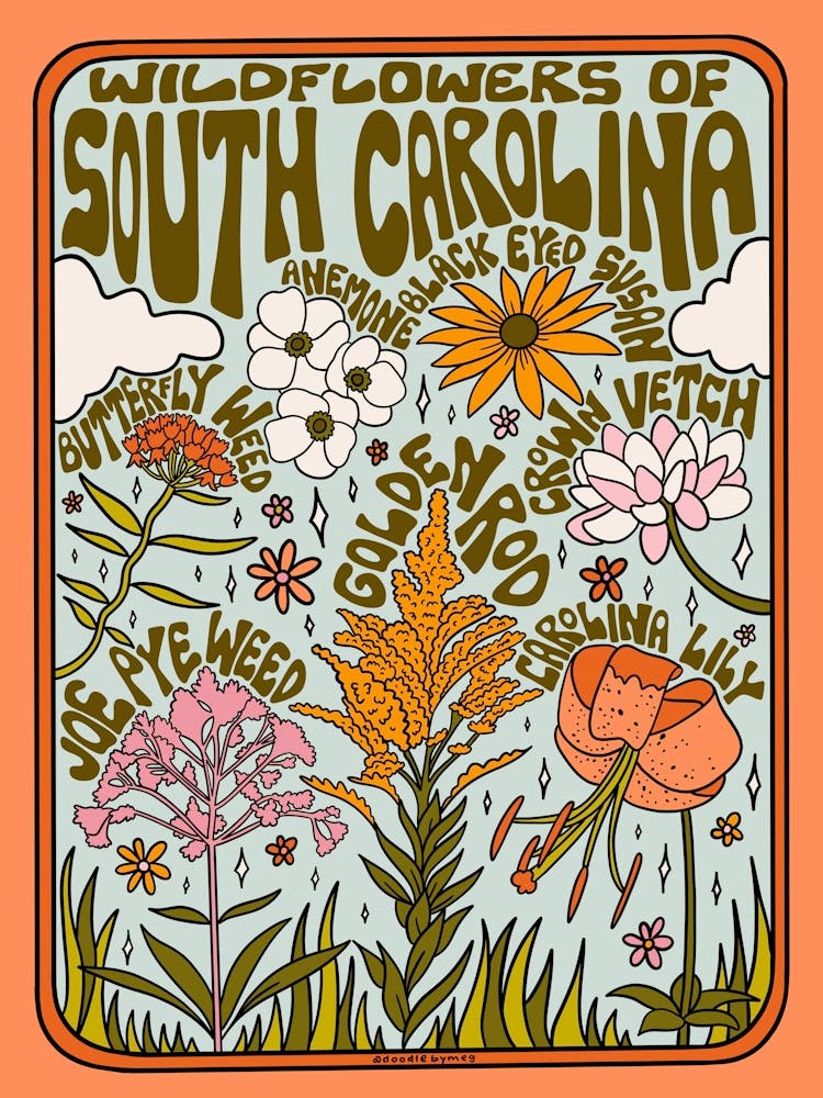 South Carolina Wildflowers