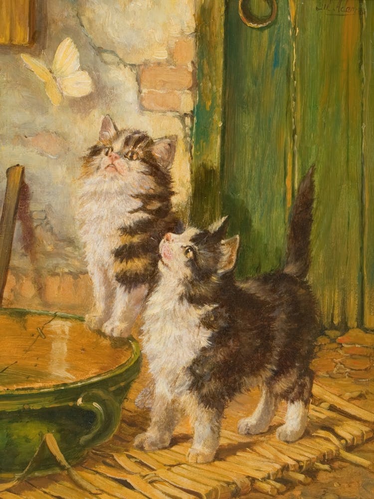 Two Kittens