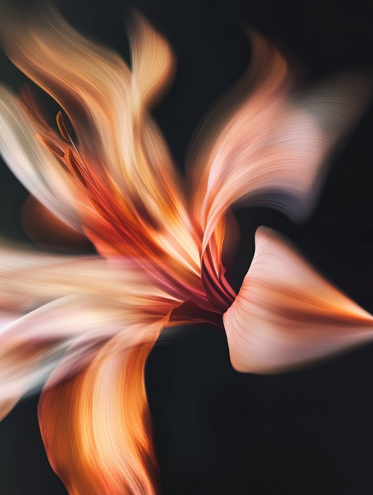 Abstract Lily Flower