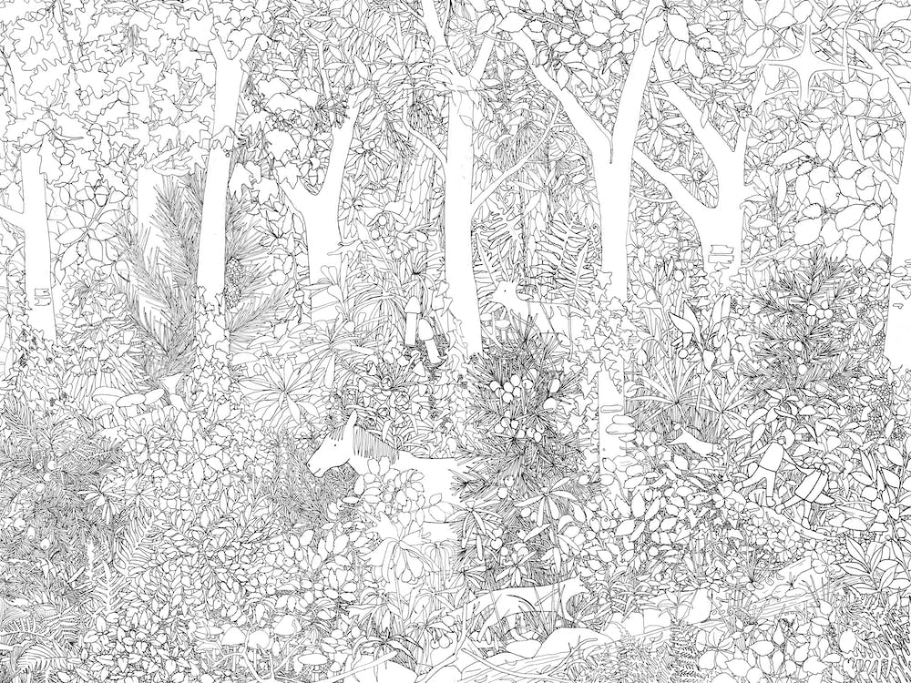 Walking Through The Val De Bac