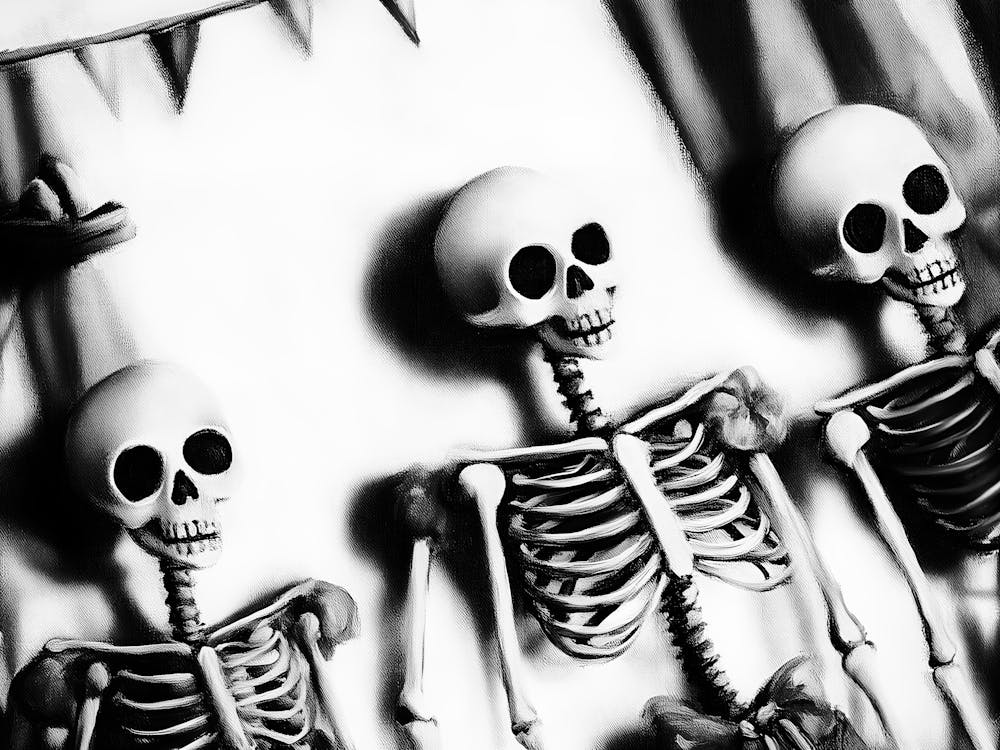 Skeletons 3