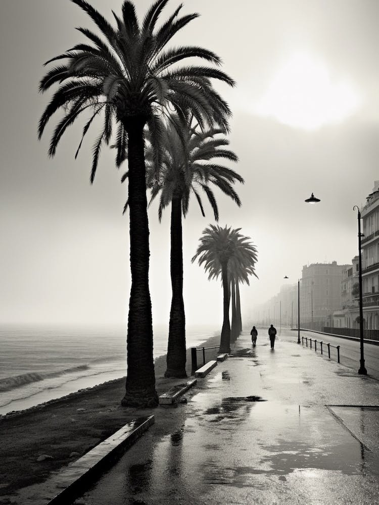 Nice, France, Mediterranean Black And White Photography Analogue 6