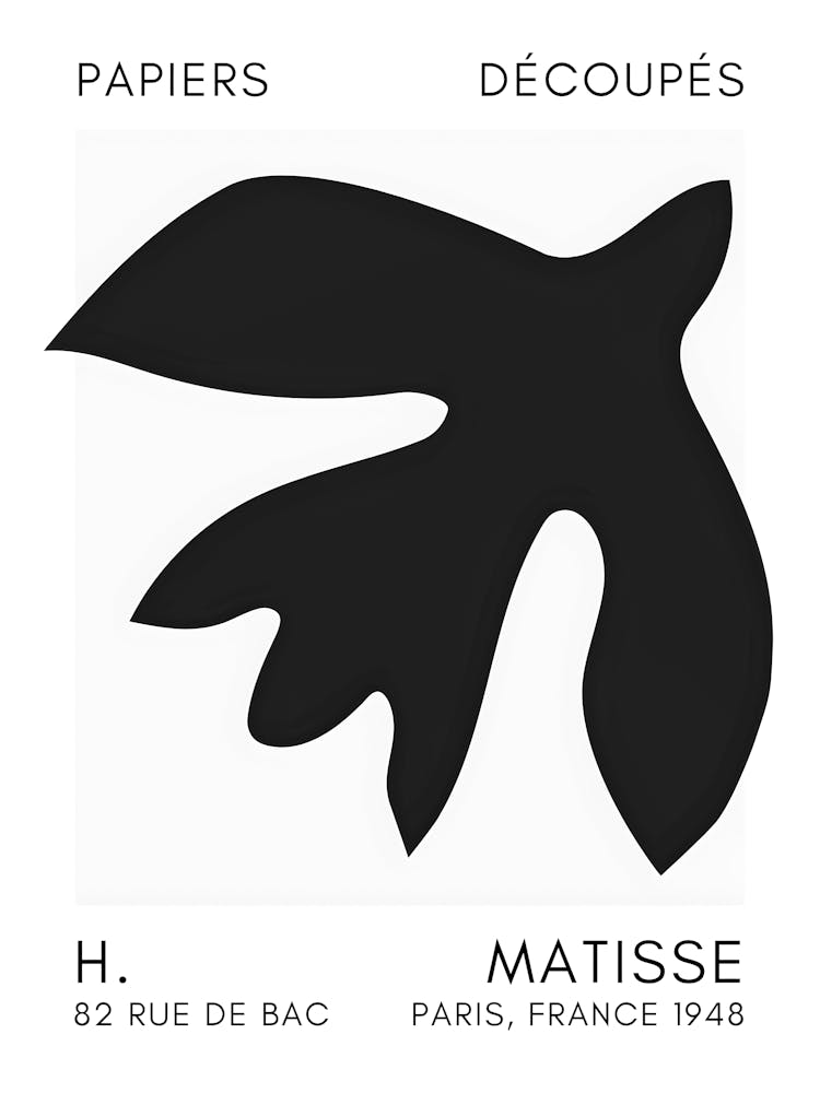 Matisse 21