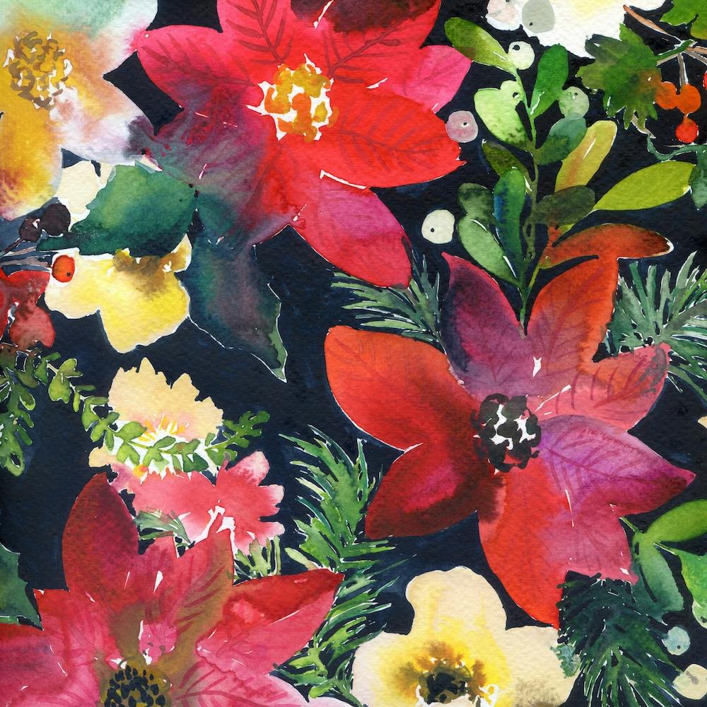 Poinsettias