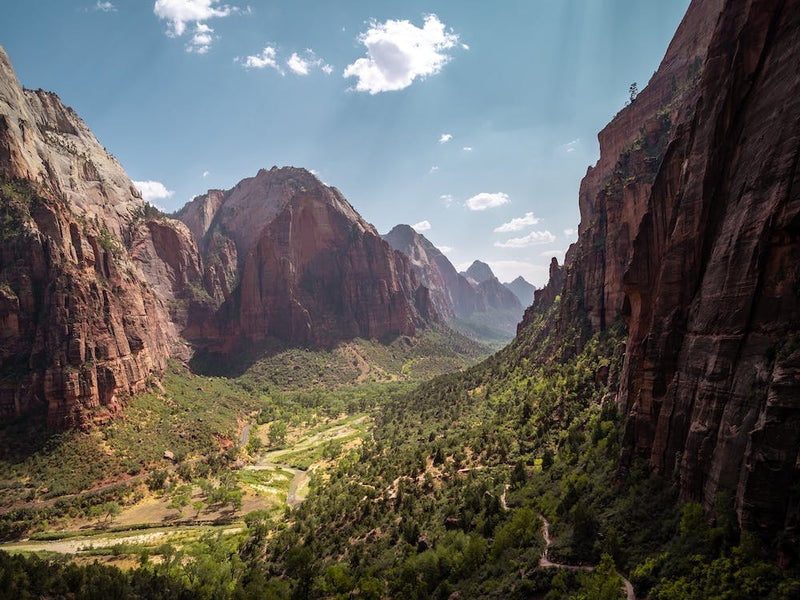 Never Ending Zion