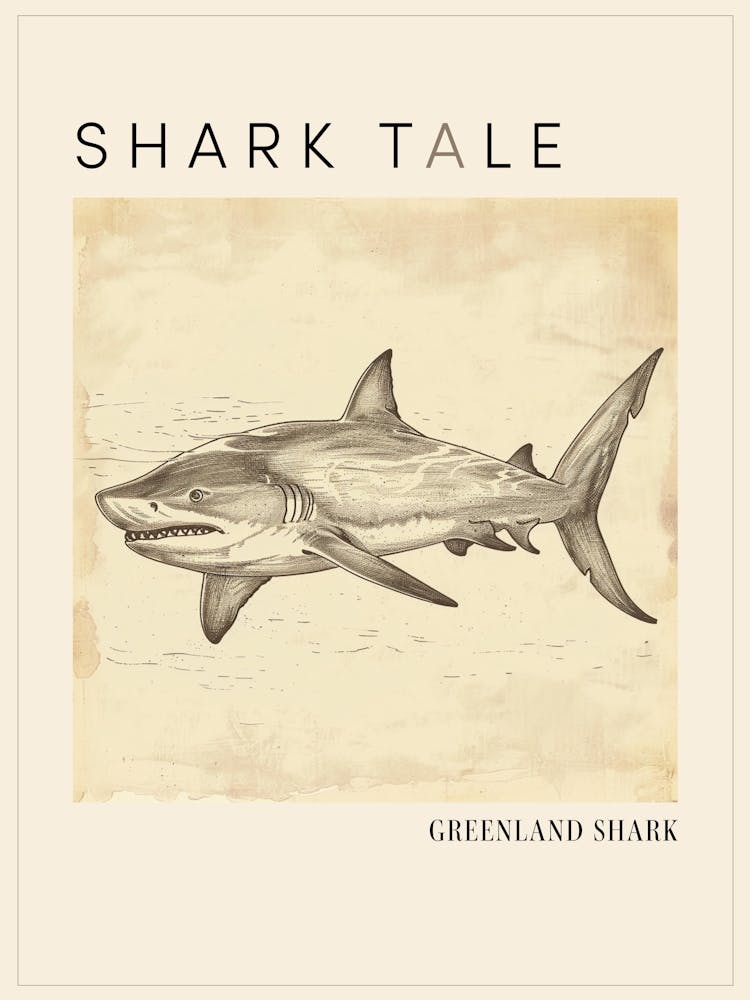 Greenland Shark Vintage Illustration 3 Poster