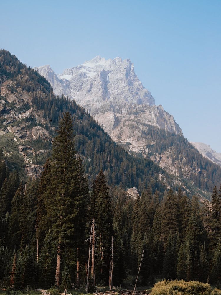 Sommet de montagne